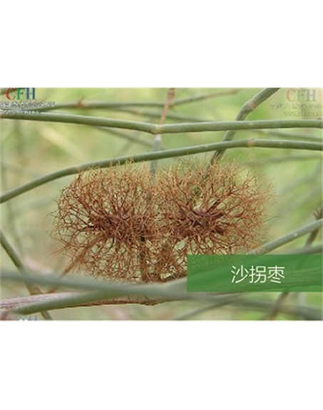 標(biāo)題：名貴樹(shù)種
瀏覽次數(shù)：1878
發(fā)表時(shí)間：2020-10-17